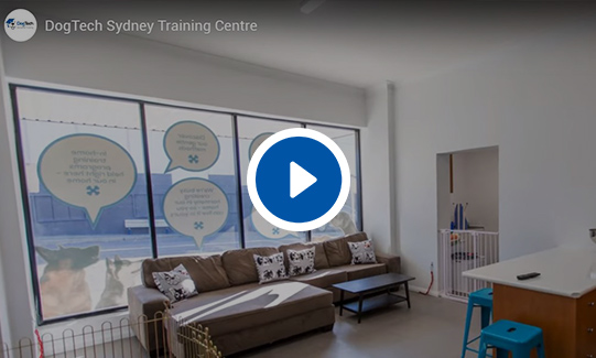 DogTech® Sydney Training Centre Video